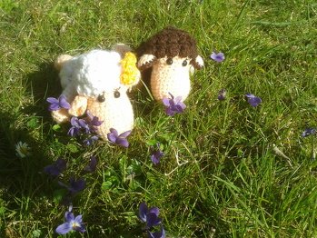 Schaf Rosa bei mir im Gärtchen