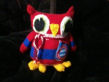 Geburtstagsgeschenk für meinen Schwiegersohn eine Bayern eule für den Fan