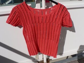 Anleitung Schachenmayr