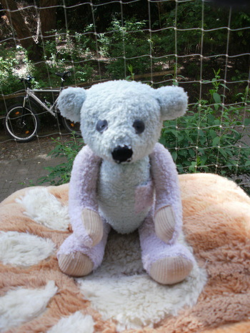 Diesen Bär hatte ich genhäht ( mein erstgenähtes  ) als meine Mutter ins KH kam ...nun ist es unser Glücksbärchen.
Den habe ich aus alte Frottee - Handtücher genäht.