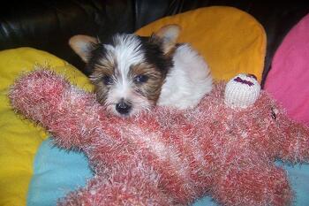 Nochmal .............