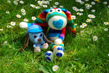 Hasi und Hund auf der Wiese :-)