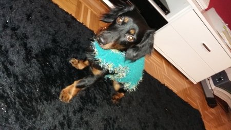 Handarbeiten Werke - Foto von sonja-rester