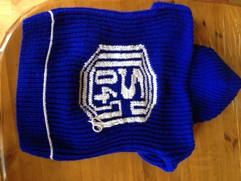 Ebenfalls gestrickt und bestickt für Junior - Fan