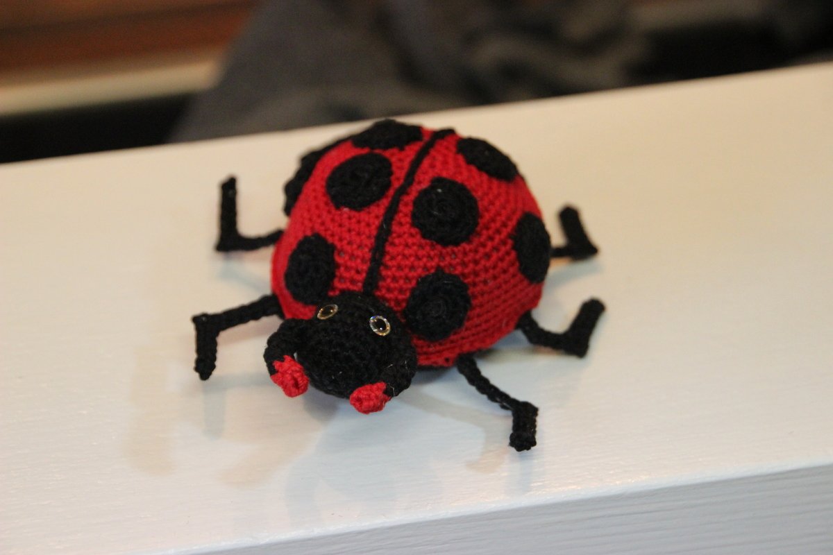 Handarbeiten Werke - Foto von hase1