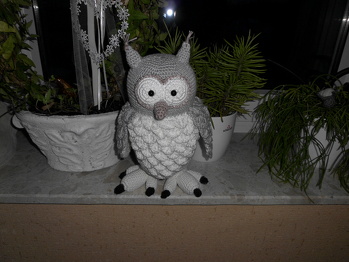 Endlich ist meine Eule "Finn"fertig. Es hat sehr viel spass gemacht sie zu häkeln.