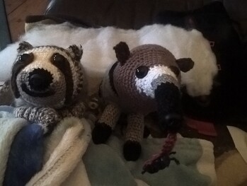 Hallo, heute ein Ameisenbär und Faultier nach Original Tierfotos gearbeitet.