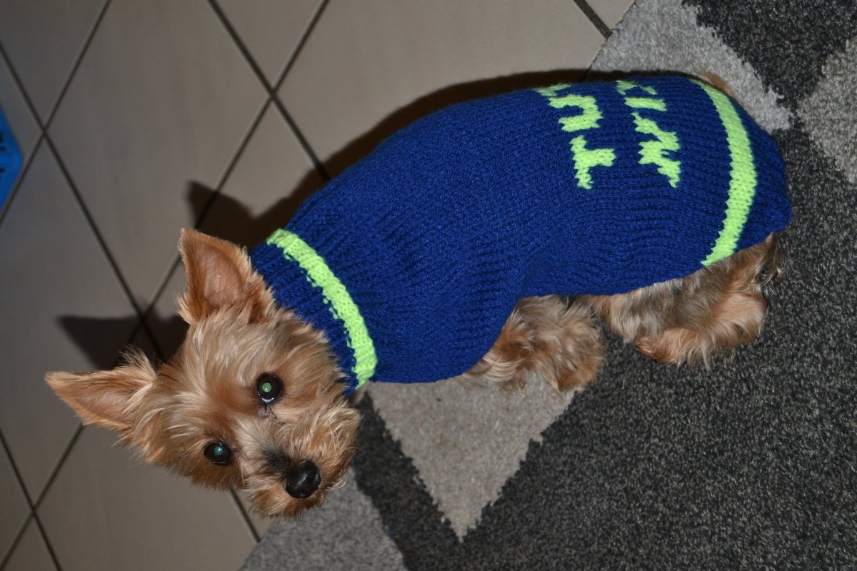 Handarbeiten Werke - Foto von raphaela-lammerding