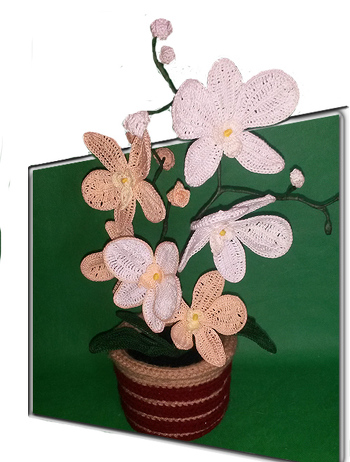 Orchideen gehören in Deutschland zu den beliebtesten Zimmerpflanzen.
Sie sehen grazil aus, blühen lange, es gibt sie in vielen attraktiven Farben und Blütenformen und die allermeisten Sorten sind unkompliziert in der Pflege.
Diese Orchidee braucht keine Pflege, blüht das ganze Jahr an jedem Standort. Ein immer blühender Hingucker.