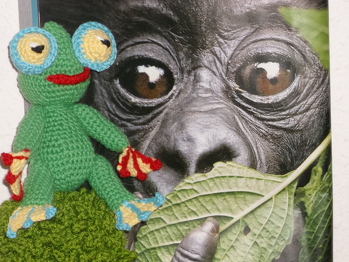 da ist der Froschnachwuchs, und einen großen Freund hat er sich auch gleich mitgebracht.