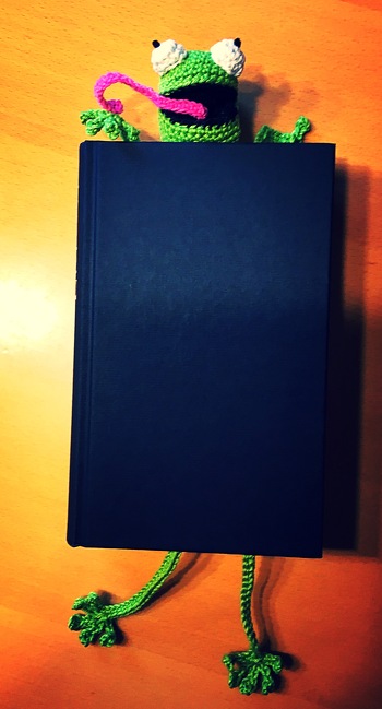 Der Frosch ist so witzig, den musste ich einfach machen! Dieser ist für meine Liebe Schwiegermutter, die genauso gern liest wie ich! Tolle Anleitung, der Frosch war ruck zuck fertig!