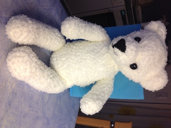 Ein ganz süßer Kuschelbär! Anleitung war gut, war nur beim nächsten Mal fertige ich die Beine und Arme etwas kürzer.