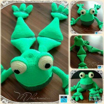Mein Frosch 