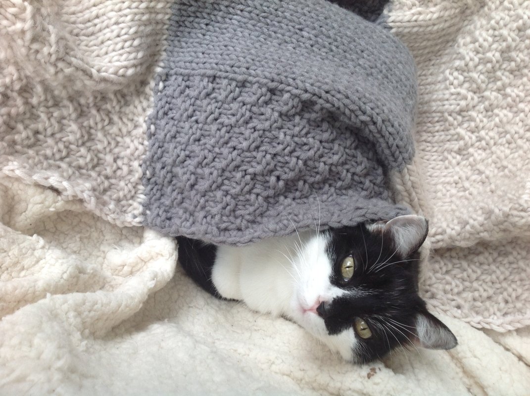 Handarbeiten Werke - Foto von Martini08