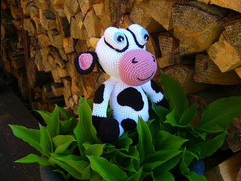 Anleitung Zeitschrift