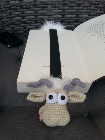 nach Anleitung von IlDikko ( www.ildikko-chrochet.com)