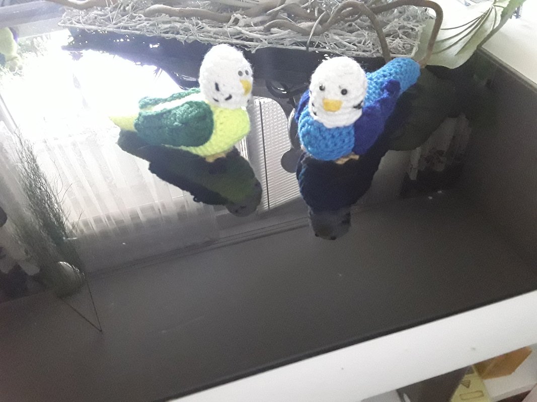 Häkelanleitung Wellensittich