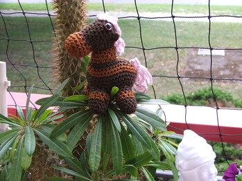 Ronja das Minipferd. Vielen Dank für die tolle Anleitung