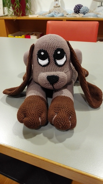 Mein Hund Shady ist Klasse geworden.bin ganz begeistert.