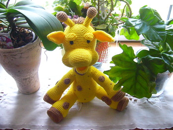 Anleitung von Colita