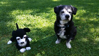 Der kleine und der große Paul