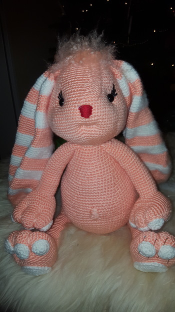 Hasi ohne weihnachtsmütze
LG Britta Schwank