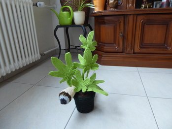 Hat gut geklappt nach der Beschreibung. Zum Blumentopf: Die Pflanze habe ich so frei nach meiner Vorstellung angefertigt und der Blumentopf ist ein normaler Pflanztopf, den ich umhäkelt und gefüllt habe. Die Stiele der Pflanze sind Trinkröhrchen, mit der Strickliesel umstrickt und innen noch mit Pfeifenreiniger verstärkt - so werden sie etwas biegbar. Die Blätter sind gestärkt, gebügelt ( das würde ich aber bei einem neuen Blumetopf nicht mehr machen) und anschließend noch mit Haarlack "steif gesprüht". hoffe, es gefällt.