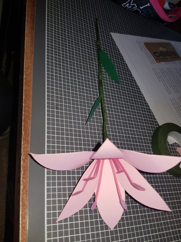 Handarbeiten Werke - Foto von backenzahn