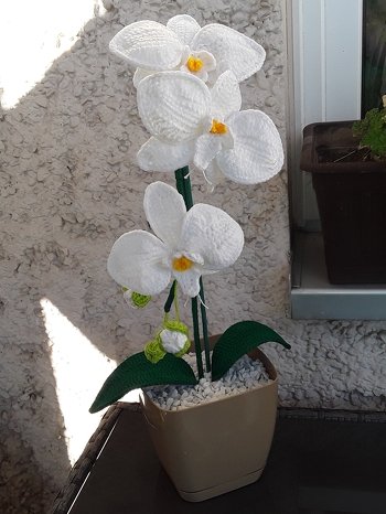 Nach einer Anleitung aus dem Internet.