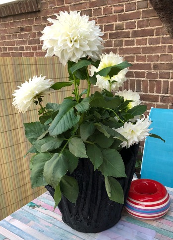 Hier meine Handtuch Betontöpfe