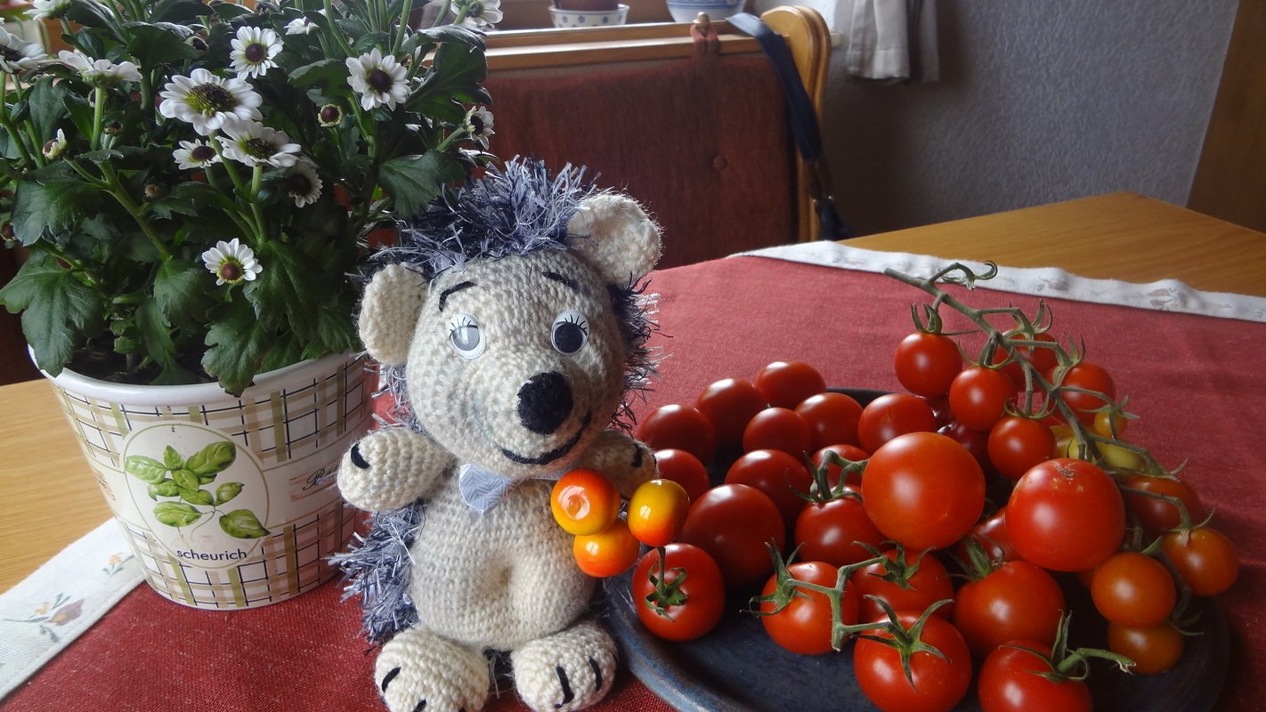 Handarbeiten Werke - Foto von uteli