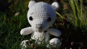 Kleiner Eisbär Kalle