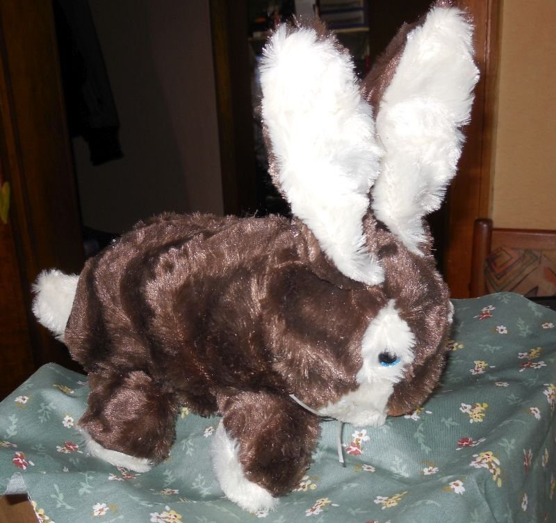 Handarbeiten Werke - Foto von Akela