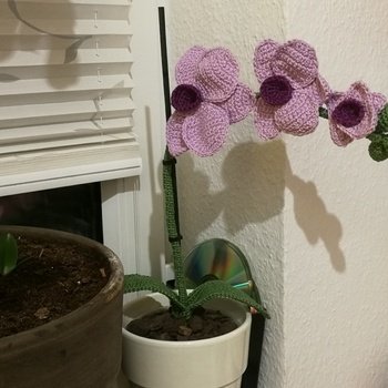 Meine gehäkelte Orchidee von Renirumi. Etwas abgewandelt- mit 