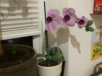 Meine gehäkelte Orchidee von Renirumi. Etwas abgewandelt- mit 
