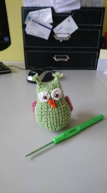 Eule in einer anderen Farbvariation