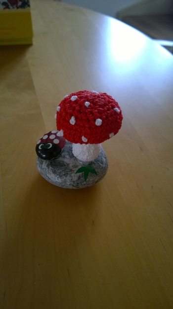 Der kleine Marienkäfer hatte einen Steinpilz. Nachdem der kaputt ging hab ich ihm mal schnell einen Pilz für sein Glück gehäkelt! LG Rosi
