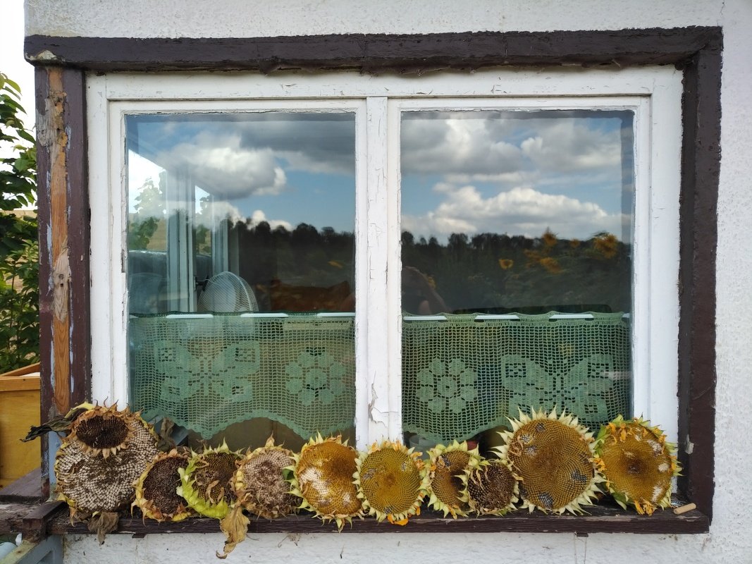 Handarbeiten Werke - Foto von Esined