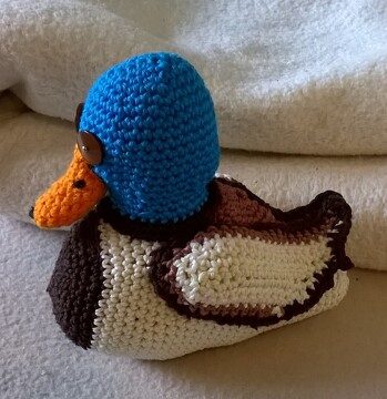 gefertigt nach einer gut beschriebenen Anleitung von : https://www.crazypatterns.net/de/items/26072/haekelanleitung-stockentenpaar-entenpaar