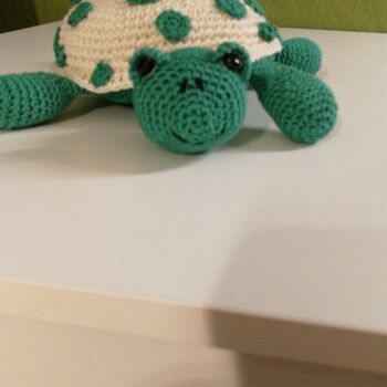 Mein Schildkröte Bernd