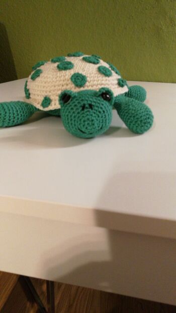 Mein Schildkröte Bernd