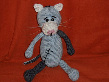 Graue Miezi mit Verletzung.