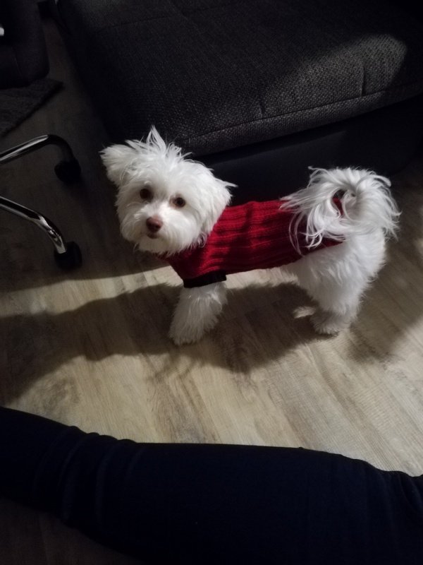 Handarbeiten Werke - Foto von strickthea