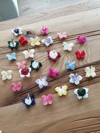 Schmetterlinge suchen Blumenwiese