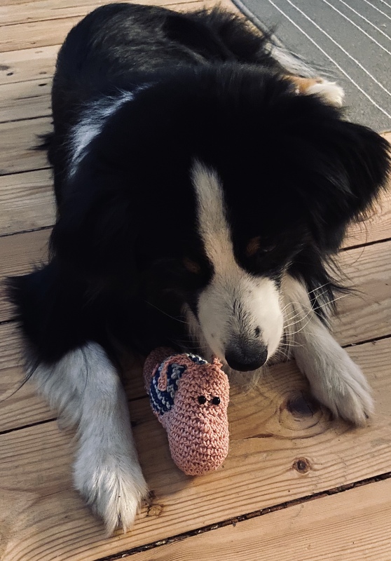 Handarbeiten Werke - Foto von lena-becker