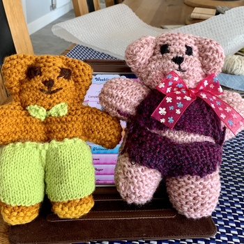 Fun project kids love these little teds