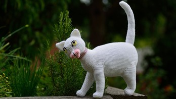 Mein erstes Weihnachtsgeschenk für meine Tochter ist fertig. Sie wünscht sich ein Ebenbild ihrer Katze Locy...