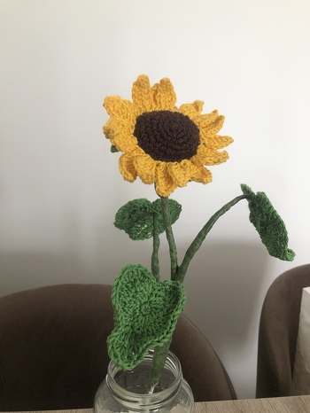 Meine erste Sonnenblume... und es werden noch mehr folgen ... super Beschreibung
Danke