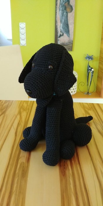 Einfache Anleitung auch für Anfänger hat Spass gemacht