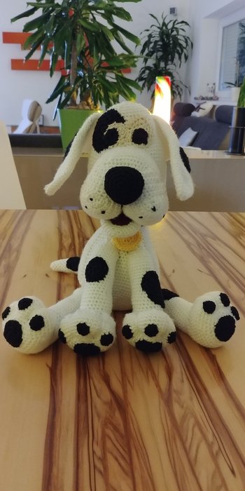 Sehr gut verständliche Anleitung